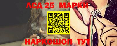 дмт Донской