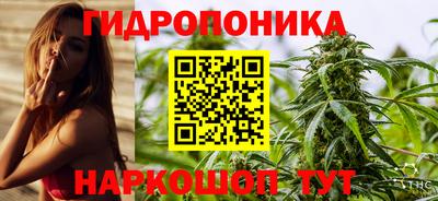 дмт Донской