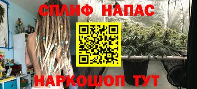 дмт Донской