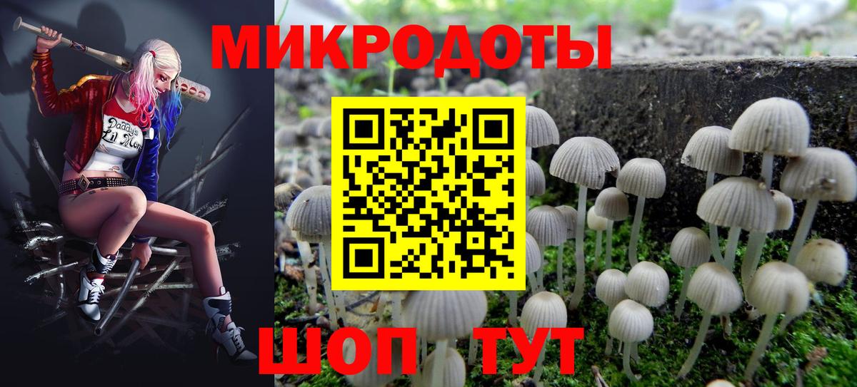 Галлюциногенные грибы мухоморы Лениногорск